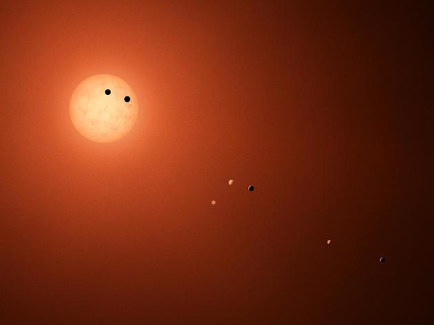 示意图：TRAPPIST-1系统，拥有7个岩石行星