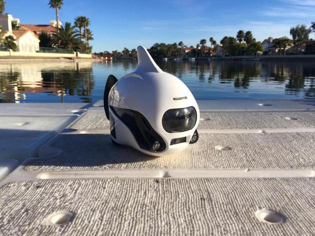 robosea无缆仿生水下机器人鲨鱼造型应用广泛