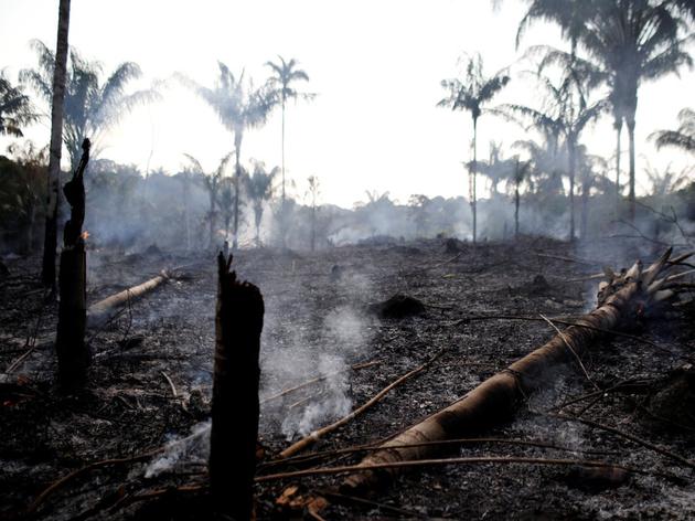 8月20日，巴西亚马逊州一片丛林被伐木者和农民烧毁