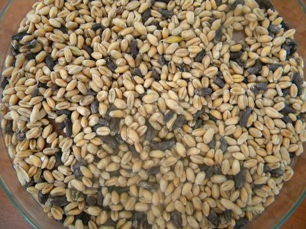 「新浪科技综合」信不信，这些治病、减肥和救命的药，全都来自毒物？新浪科技综合2020-08-06 10:09:540阅