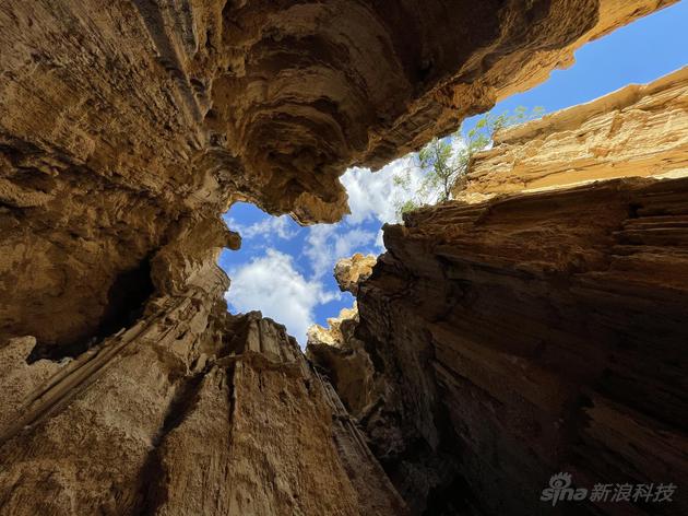 7. 午 (11am - 1pm) 深度融合