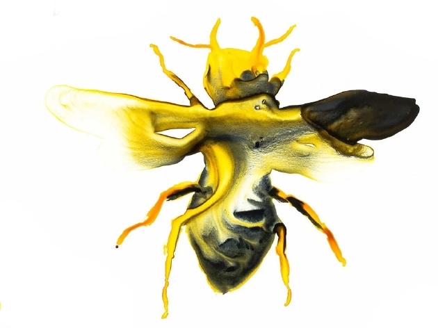 艺术家绘制的华莱士巨蜂。