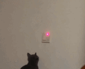 懒得关灯的时候怎么办gif搞笑图片