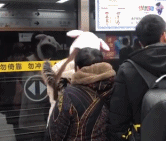 被自己可爱到gif搞笑图片