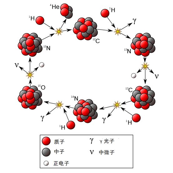 碳氮氧循环（图片来源：wikipedia）