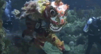 海底世界版舞龙舞狮-搞笑gif动态图片-izike