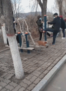 带狗狗健身的主人gif搞笑图片