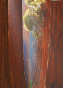 红杉树公园好像魔法森林gif搞笑图片