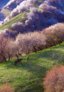 接下来几个月的新疆gif搞笑图片