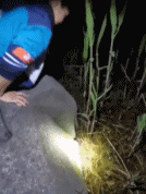 封校学生动手能力有多强gif搞笑图片