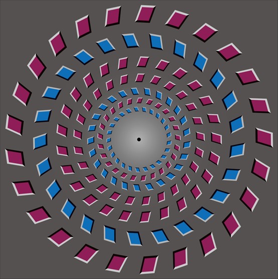 图 3 著名的Pinna 旋转运动错觉。当人注视图片中心黑点，头部靠近（或远离）屏幕时，会很明显地感受到两个圆环在分别以逆时针和顺时针（或顺时针和逆时针）方向旋转，但事实上圆环并没有任何物理移动。(王伟组 绘制)