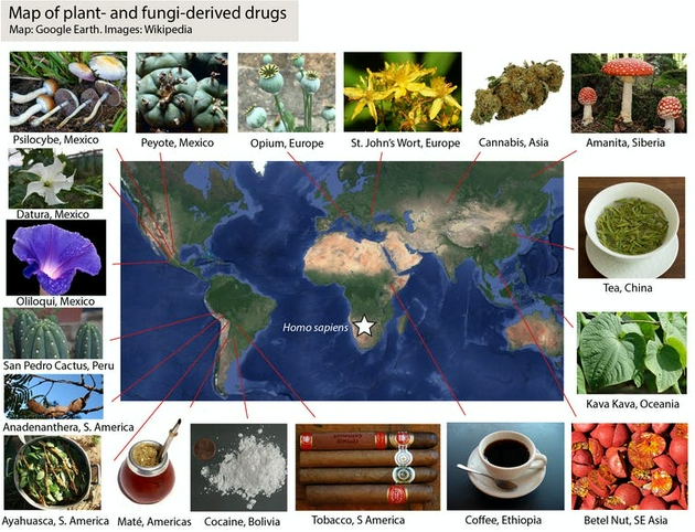 许多药物在非洲以外被发现