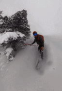 暴风雪野外滑雪的体验-搞笑gif动态图片-izike