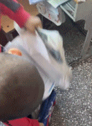 小男孩把书随意塞入书包-帅哥动态图片-gif动态图-izike