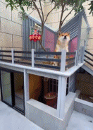 见过的最豪华的狗窝gif搞笑图片