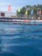 一起游泳吗gif搞笑图片