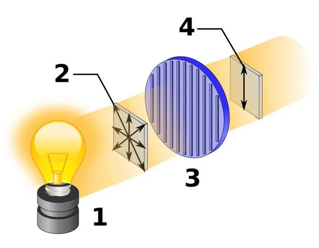 自然光在各个方向上振动（如2），通过“偏振片”（如3）的过滤后，仅留下特定方向振动的“偏振光”（如4）| Wikimedia Commons