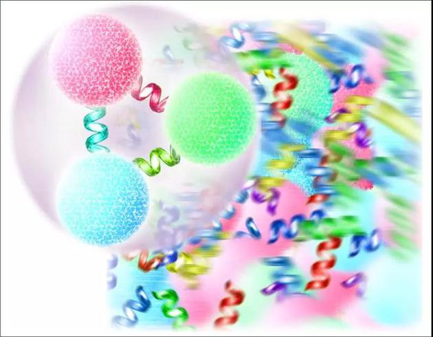 微觀到結合誇克構成質子的“強核力”，它十分有意思