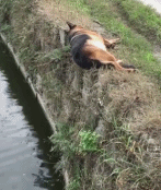 美梦一下子就醒了gif搞笑图片