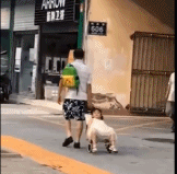 真不想走路gif搞笑图片