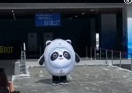 做一只墩墩太难了gif搞笑图片