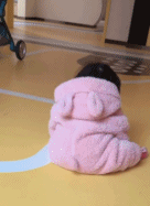 一只有机扫地机器人gif搞笑图片