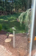 你醒啦早上好gif搞笑图片