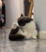 向你敬礼gif搞笑图片