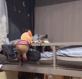 瞪眼大赛gif搞笑图片