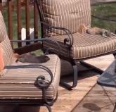 还是你会享受gif搞笑图片