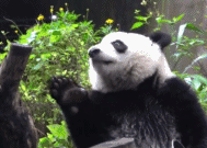 怎么还不开饭啊-搞笑gif动态图片-izike