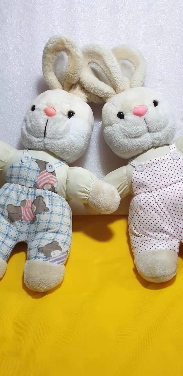 朱伯明称两个31岁的女子,她们的布娃娃在“娃娃诊所”相遇。受访者供图