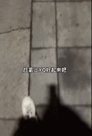 走路遇到《让》的路标-搞笑gif动态图片 - izike-izike