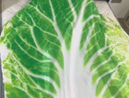 巨大的白菜被单-搞笑gif动态图片 - izike-izike
