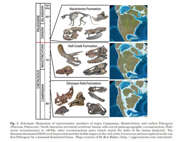 白垩纪的北美洲及恐龙，图2为撞击前夕的地图