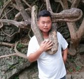 看景点自己变成景点了gif搞笑图片