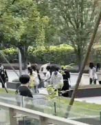学校畜牧兽医学院的羊被学生追-搞笑gif动态图片-izike
