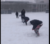 一定早有预谋了gif搞笑图片