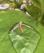 怎样冲破生活的枷锁gif搞笑图片