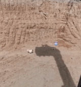 狗狗只想乘个凉gif搞笑图片