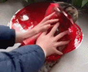 还以为在给猫咪洗澡gif搞笑图片