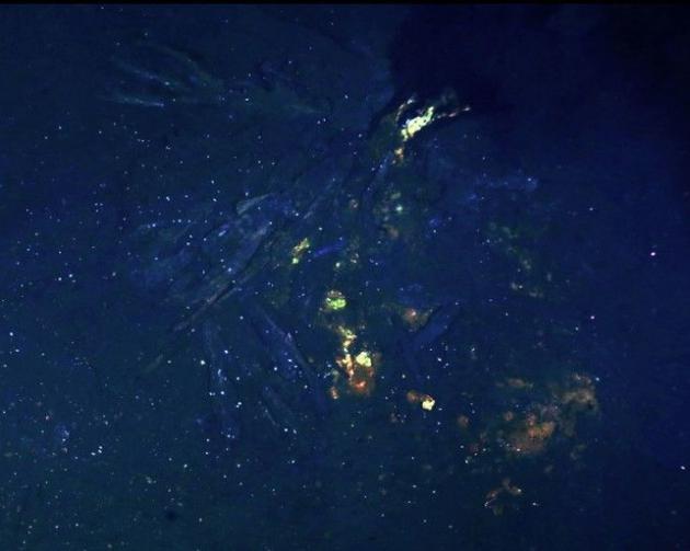 3、在照片右侧是一个海底黑烟喷口，喷口周围是闪闪发光的“黄金”物质，白点是富含矿物质环境中聚集的生物群。