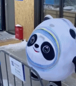 原来冰墩墩也有脾气gif搞笑图片