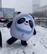 冰墩墩生气踢雪到女孩身上-美女动态图片-gif动态图-izike