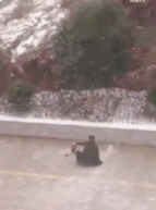 当冬天懒得走路gif搞笑图片