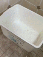 养省心的狗子是什么体验gif搞笑图片