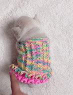 小裙子扭起来gif搞笑图片