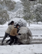 一起卖力堆个大雪人-搞笑gif动态图片-izike
