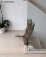 这样下楼更省力gif搞笑图片