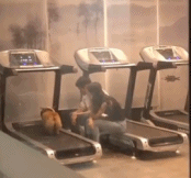 当代年轻人遛狗gif搞笑图片